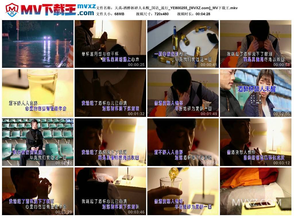 天禹-酒醉杯碎人未醒_国语_流行_YE800255